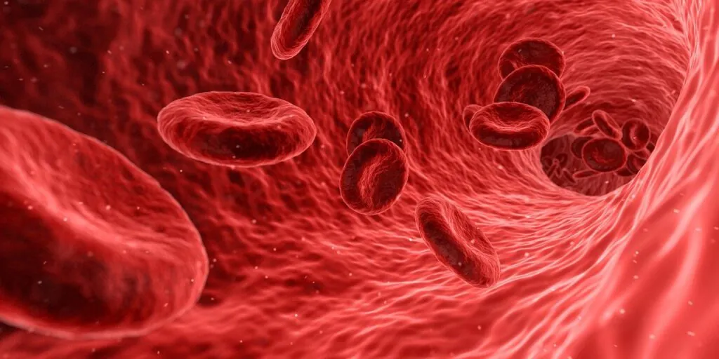 Illustration of red blood cells inside a blood vessel